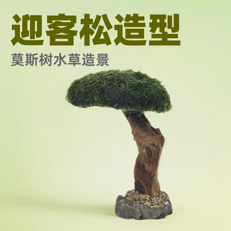 Moss Tree Welcome Pine Aquarium Fish Tank Landscape Decoration Rhododendron Root Immersed Wood Moss Aquatic Grass Factory Wholesale