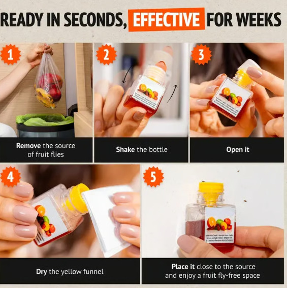Fruit Fly Trap - Environmentally Responsible Fruit Fly Kille|undefined