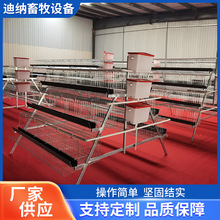 热镀锌蛋鸡笼蛋鸡笼4门养鸡笼三层全套自动养殖场阶梯式滚蛋鸡笼