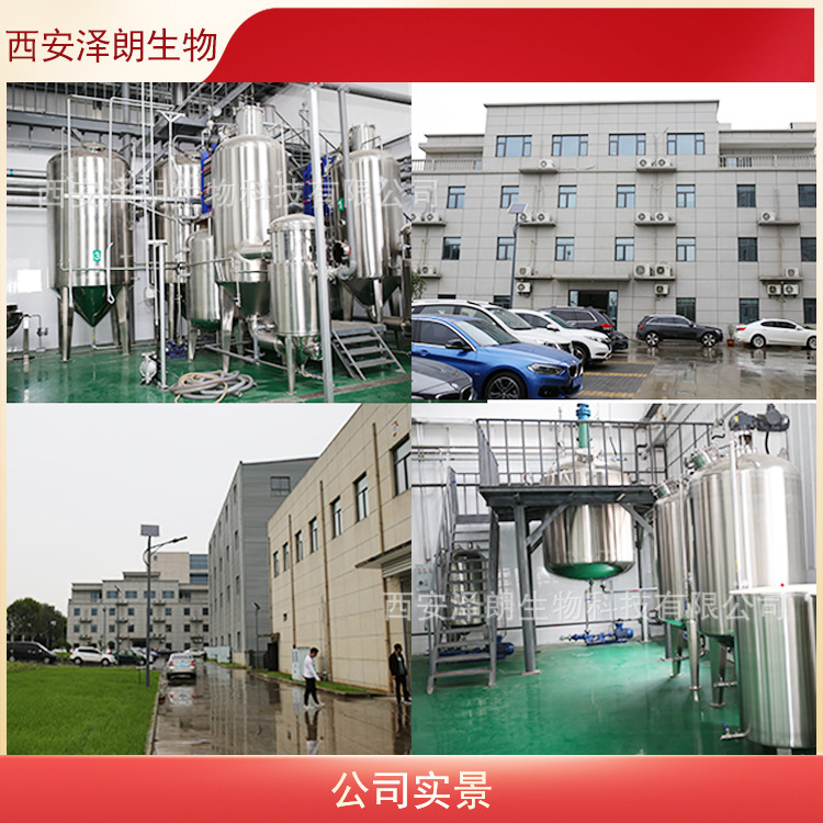 ジロンペプチド、水溶性低分子活性ジロンペプチド、ジロンペプチド粉末、食品グレード、複数仕様、在庫あり、送料無料|undefined