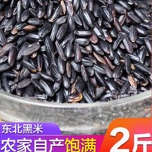 新米东北黑米五谷杂粮食紫米散装农家自产大米2斤