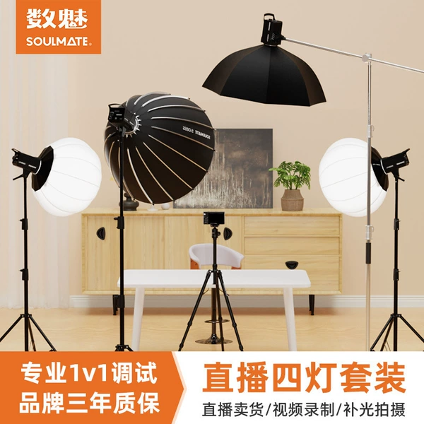 E300Bi Pro medium-sized four-light audio collection set [jewellery/artistic food/clothing/talent]