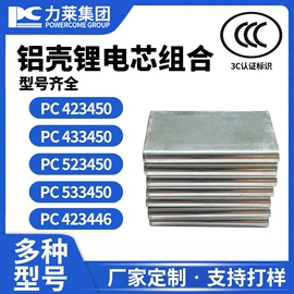 锂电池;其他电源