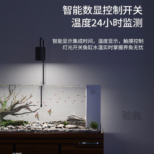 Luo Xi Stream Aquarium Fish Tank Large Living Room Home New Ultra White Glass Original Ecosystem Landscape Filtered Grass Tank