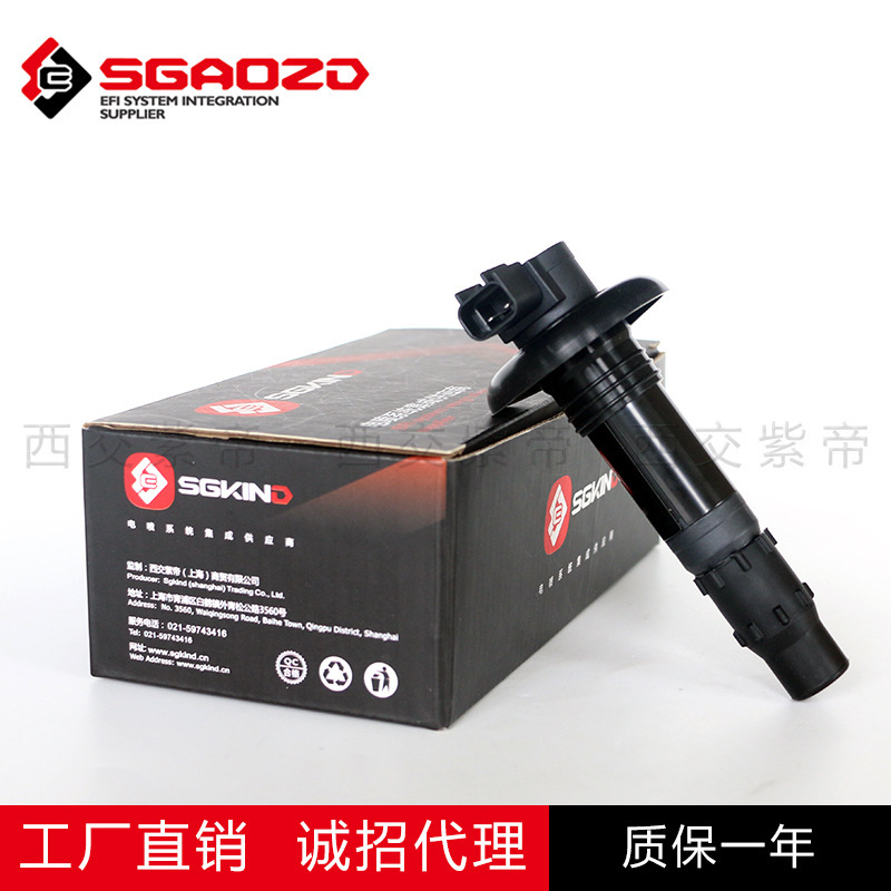 自動車部品クロスボーダーオペル GTX 点火コイル高電圧パッケージ 296000307 420664020|undefined