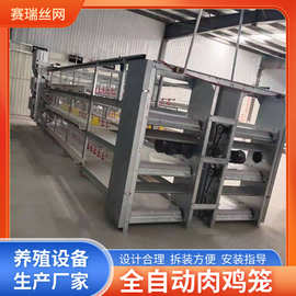 三层全自动肉鸡笼 养殖场自动化肉鸡肉鸭笼 输送带自动清粪机鸡笼