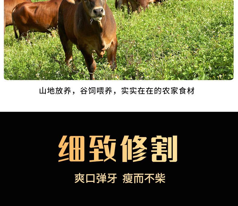 牛腩_07.jpg
