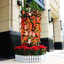 �V��������Ԏ�����ɰ�����ٴ��;Gֲ��ɰ���������ܽ�ۘ�V�|