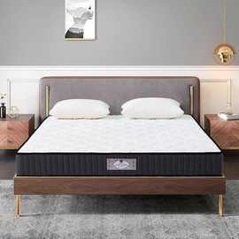 天然椰棕防螨床垫偏硬护脊席梦思成人家用经济型海绵床垫子
