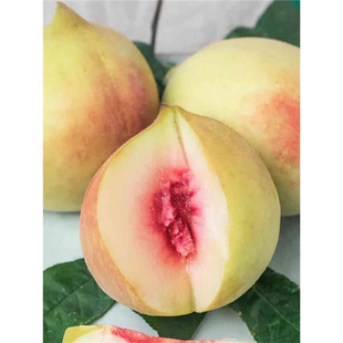 �����Ҙ��������Ҙ������Ә�޽����Ϸ������Nֲ�ش��������