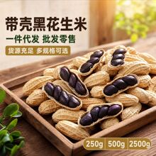 带壳四粒黑花生农家晒干紫皮黑花生杂粮炒货原料一件代发批发零售
