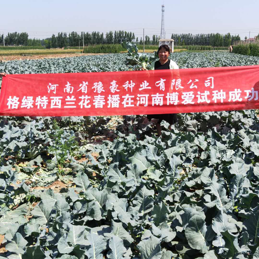 45232915207ccdae6cbd01fa91a048