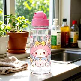 可手提绳单层透明塑料吸管杯大容量耐摔办公户外旅行水杯