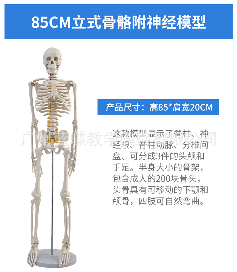 详情1 (1)