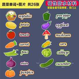 磁性英语水果食物数字月份季节星期英文单词卡公开课板书磁贴教具