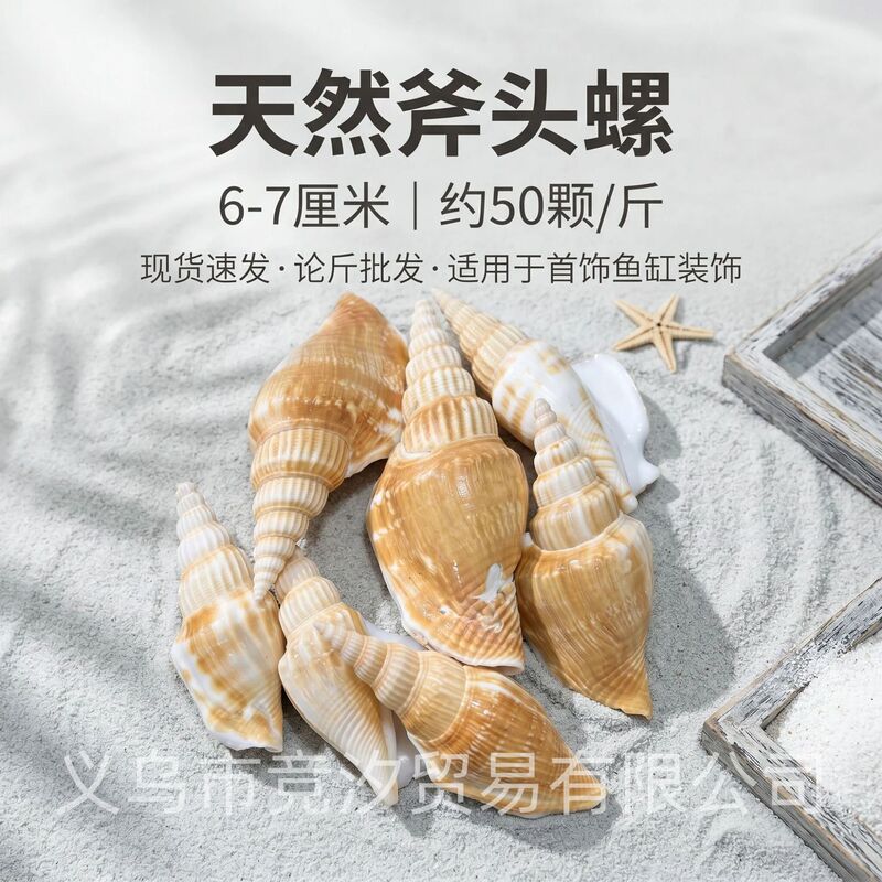 Hermit Crab Replacement Shells, Natural Conch Shells, Aquarium Landscaping Decoration, Cross-Border Wholesale Hermit Crab Replacement Shells, Natural Conch Shells, Aquarium Landscaping Decoration, Cross-Border Wholesale