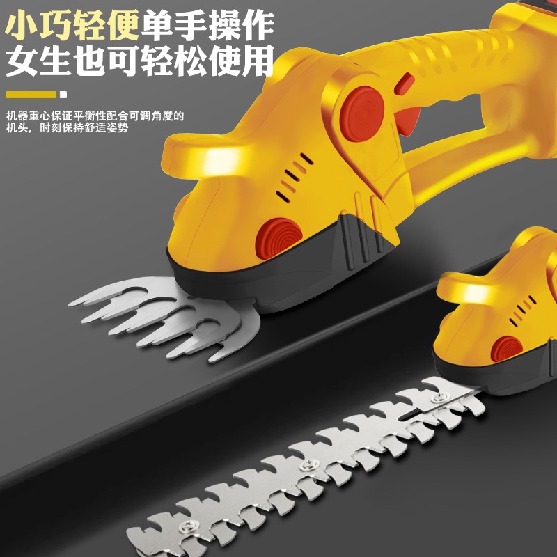 微信图片_2025-04-25_170003_945.jpg