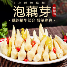 湖北特产酸辣泡藕芽400g即食洪湖泡椒藕头泡藕尖预制菜泡藕芽批发