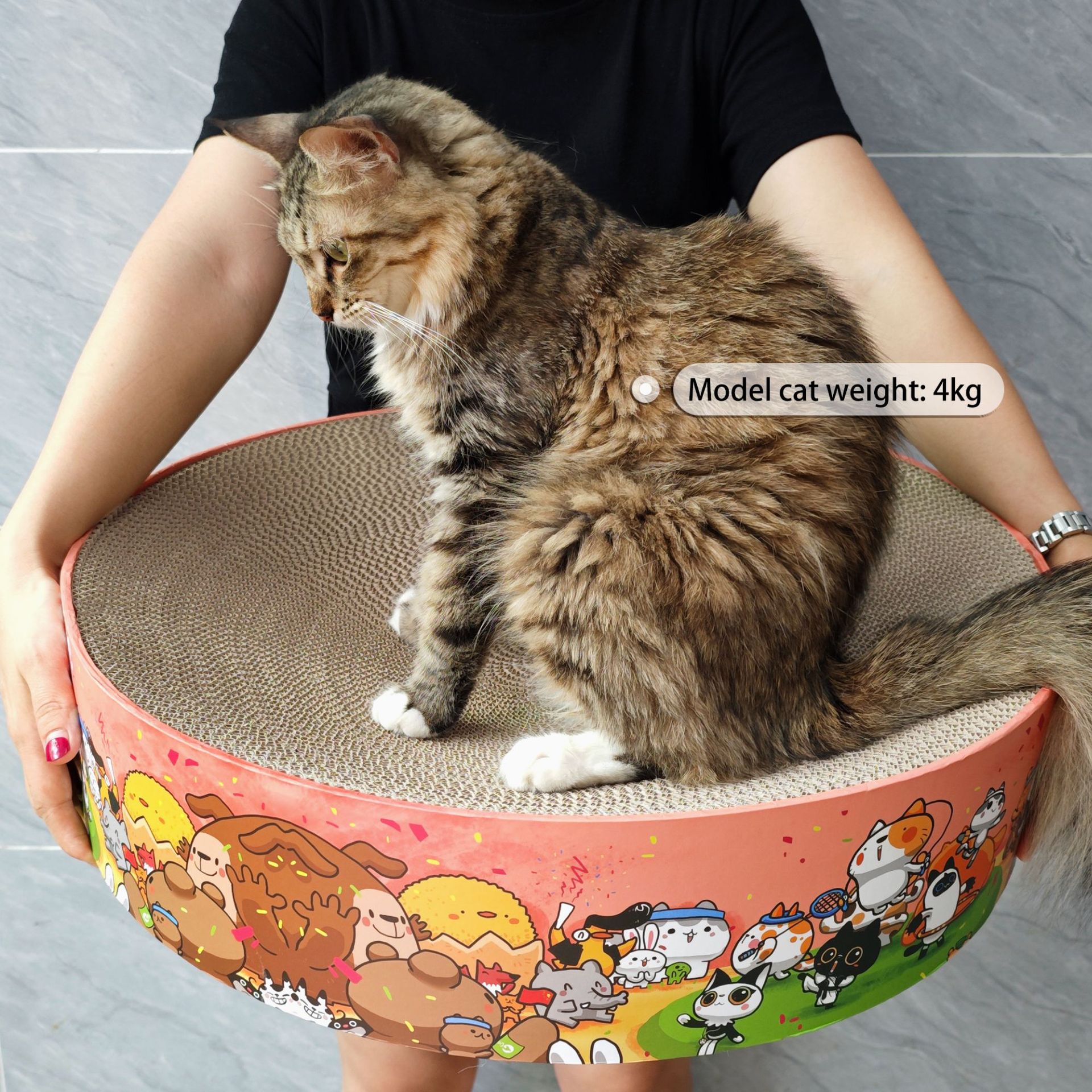 微信图片_20240805104548