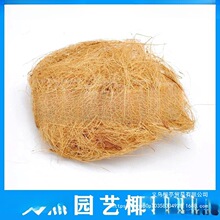 南防虫面盆盆栽全艺用椰铺面装饰植物天然椰壳棕丝填充物石