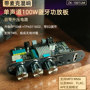 1001UM������OK���˻�푆���100W�{�����Ű�TWS��������TPA3116