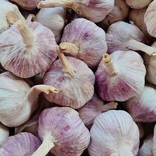 ���l���� �Ї�������� Դ�^�S�Ҿ�Ʒ�ӹ��r�񃞻�