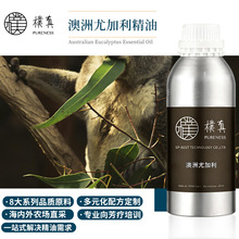 樸真澳洲尤加利精油 澳洲单方精油原料批发芳疗护理调香香薰控油