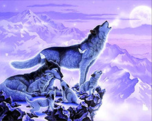 �� �M� �ʯ��  �S��؛Դ