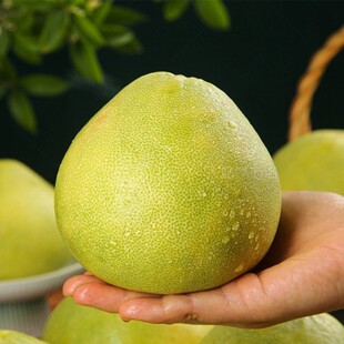 ���ϳ��~ˮ�������ӹ��@�Fժ�F�l���r��Ƥ��������Դ�^�S�����l