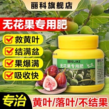 �o�����ʻ��ʼ�������ͨ��ֲ����ϟo����������B���������
