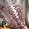 Taro purple