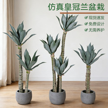 �·���ʹ��m�����p���҃ȿ͏d����bپGֲ�ҾӔ[�O���������m