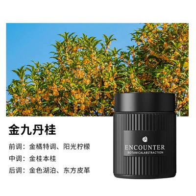 Women's Car Perfume Car Interior – Perfplant seat - golden-nine-dan-gui