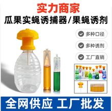 ��ω�T�������@�˵عϹ���ωᘷ��С��ω���T���������x�w�x�T��