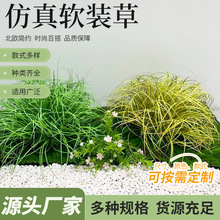 ���l����݅���ƺ�پGֲ�b�ܛ�b���������컨�Fˮ�����Ѳݿݲ�Ұ