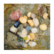 深圳源头直供 - 五彩雨花石抛光鹅卵石 自然色盘·石境新生系列