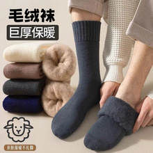 秋冬款加绒加厚袜子男款毛圈袜冬天毛巾袜厚款防臭保暖成人长筒袜