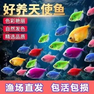 ��ʹ�^�p�~�Ꭷ����С���߲ʵ�ˮ�~����ɫ�ǹ�Ⱥ�ΟᎧ�~�ͻ���B