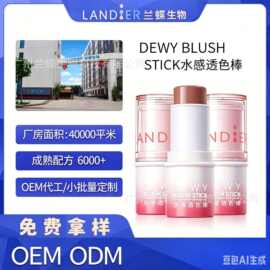 定制OEM元气柔滑腮红棒自然饱和韩系色显白气色贴牌生产代加工厂
