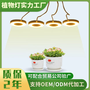 Full Spectrum Ultraviolet Plant Lamp Growth Lamp USB Indoor Sunlight Supplements Lamp Fleshy Potted Plant Lamp Factory