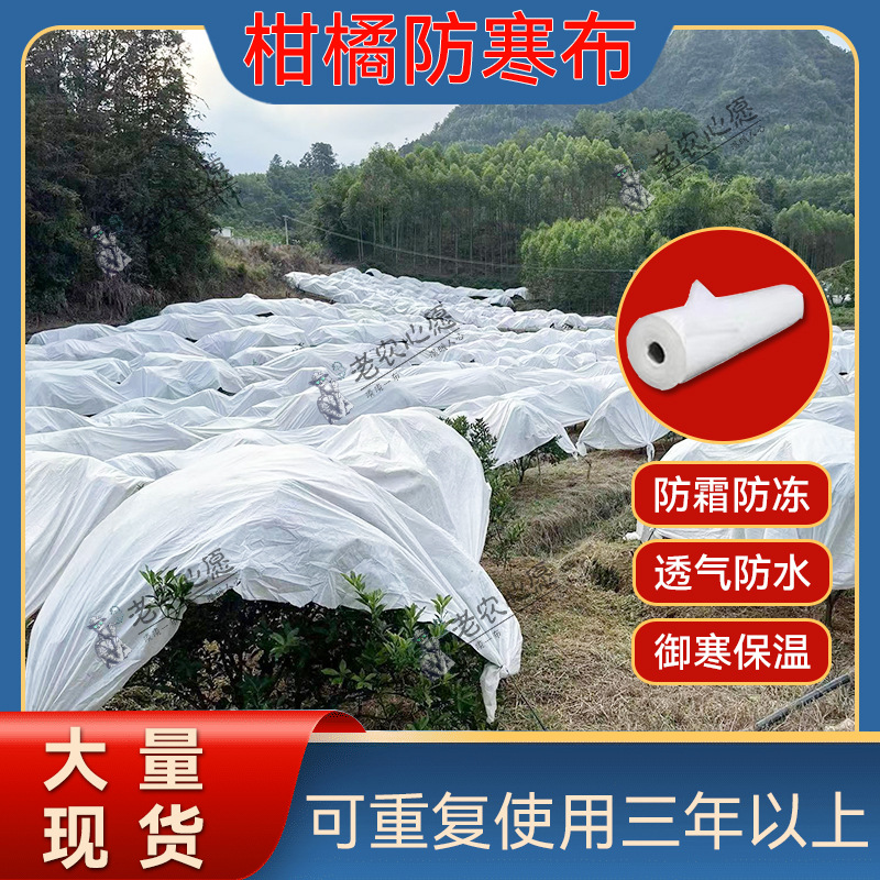老农心愿防寒布 柑橘果树透光透气不烧果植物专用防冻布 厂家直销