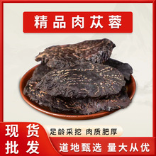 ��ɐ��Ƭ���ɹŰ�������ɐ����Ƭ�ݾ��ݲ������������B����ș���|