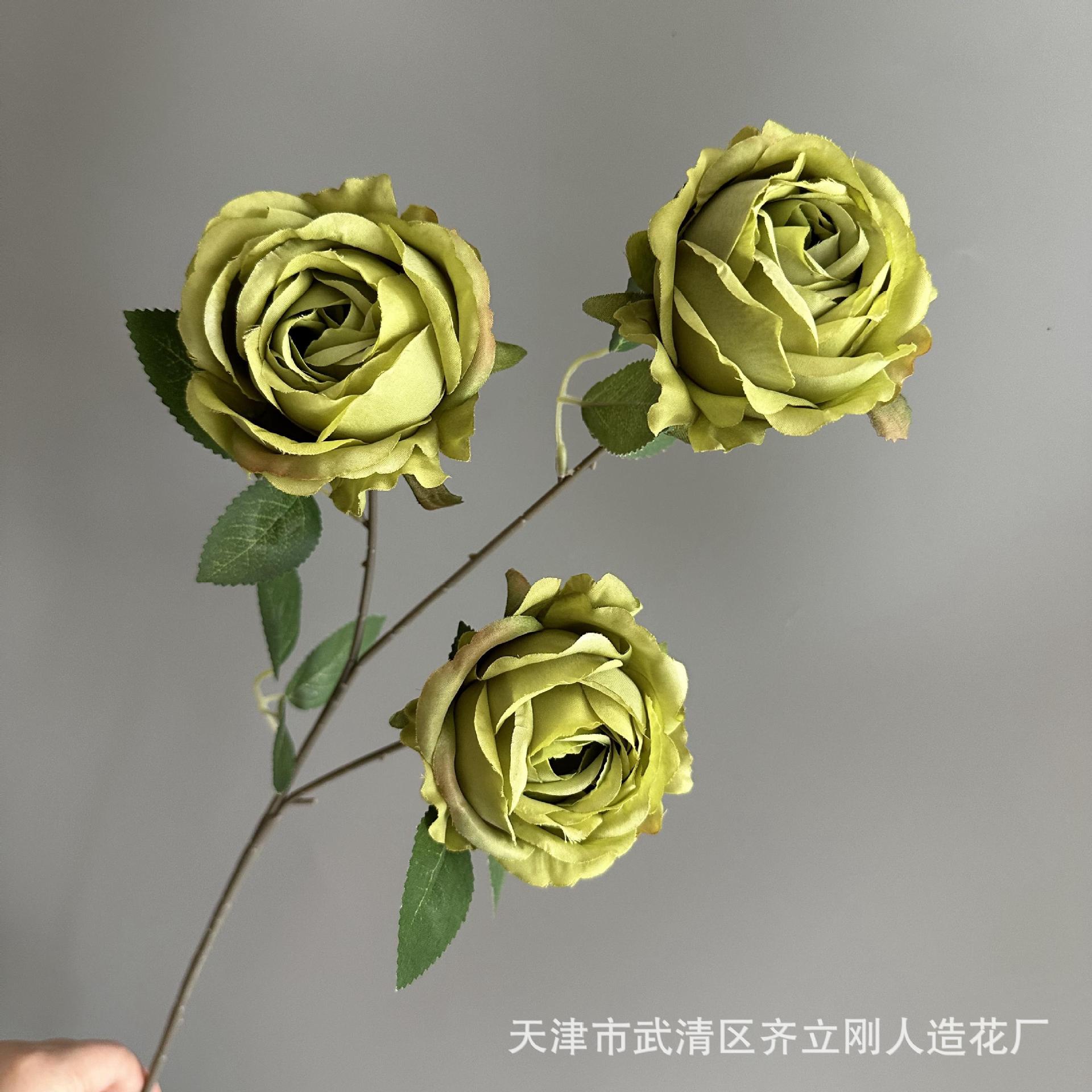 펄 로즈