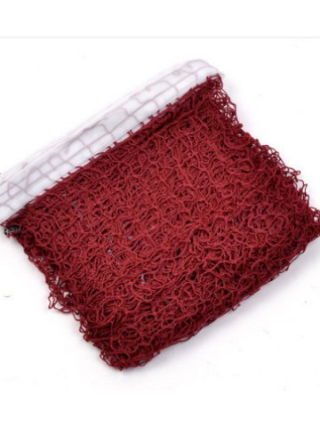 Beach net
