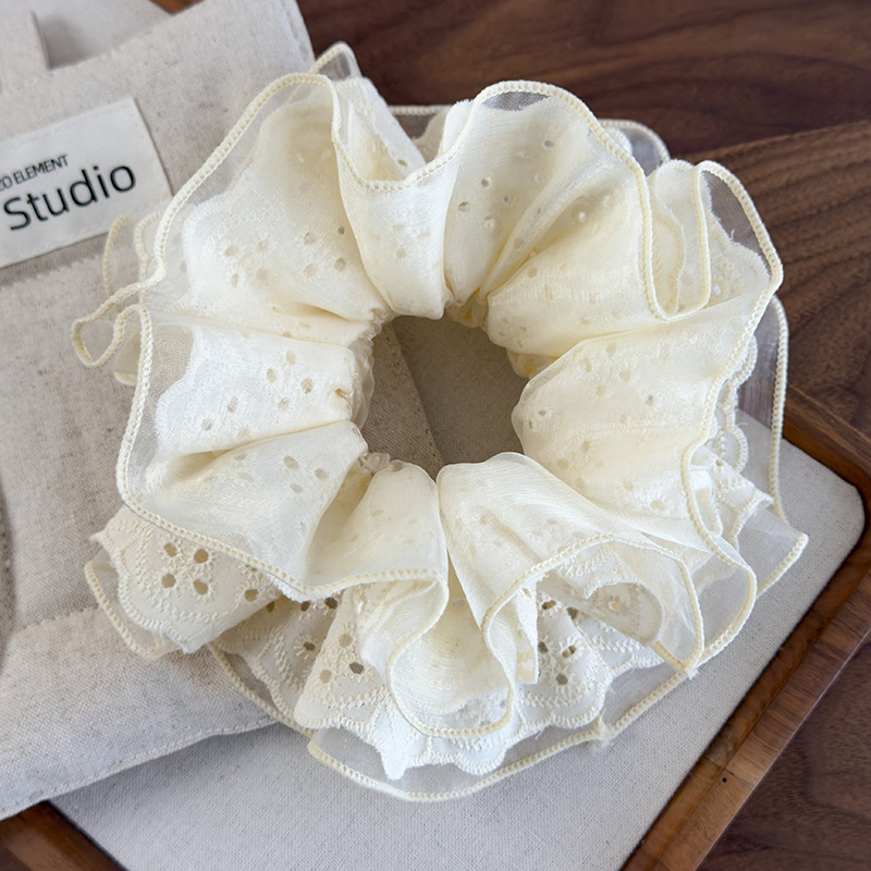 20250308-2025_03_08_16_09_IMG_