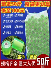 �p�@Ĥ����Ĥ늾�ĤС�����Ĥ����޽�͸�����bĤ���I���rĤ