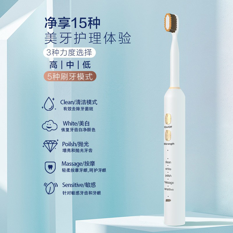15-Speed Sonic Electric Toothbrush Cross-Border E-Commerce Best-Selling Smart USB Direct Charging 4 Replacement Brush Heads Silent
