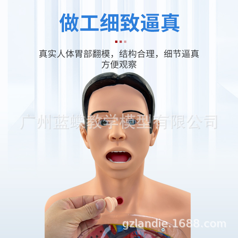 ����ϴθģ�� ����ʾ͸��ϴθ����ģ�� θ����ѹѵ����ѧģ��ҽ��