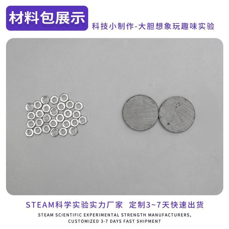 Ciencia creativa experimento cambiable pequeño árbol imán físico hecho a mano DIY Tecnología pequeña producción ciencia y educación pequeño juguete material