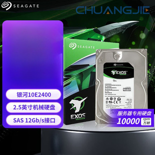 Galaxy Enterprise-Class Hard Drive 2.5-Inch 12Gb 10000Rpm 600G2.4T St600Mm0009